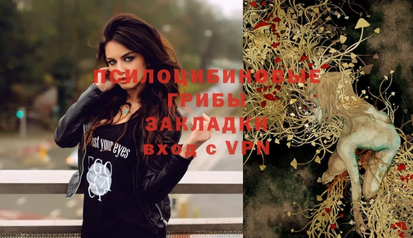 круглые Новозыбков
