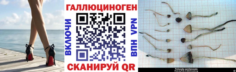 MEGA рабочий сайт  Краснокамск  Псилоцибиновые грибы ЛСД  где найти  